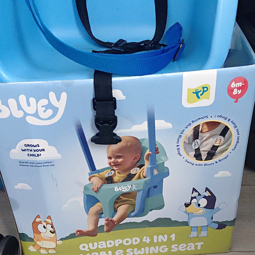 Bluey swing set and - swing, metal